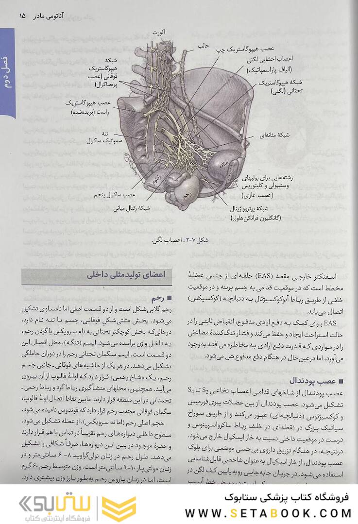 خلاصه بارداری و زایمان ویلیامز 2022