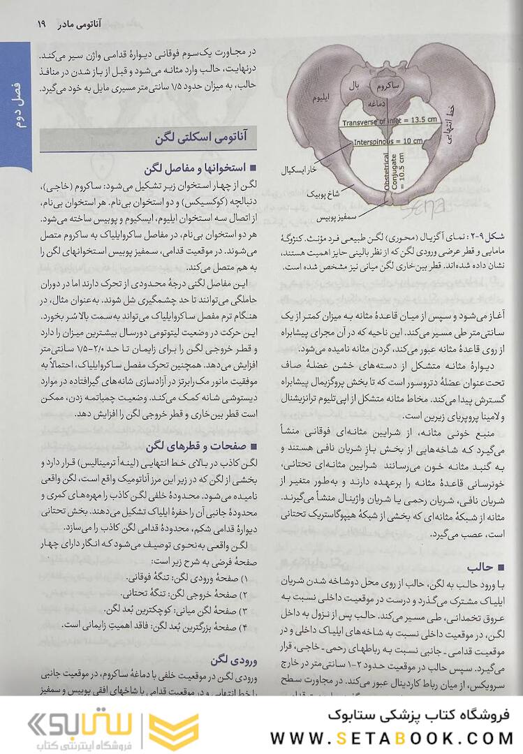 خلاصه بارداری و زایمان ویلیامز 2022