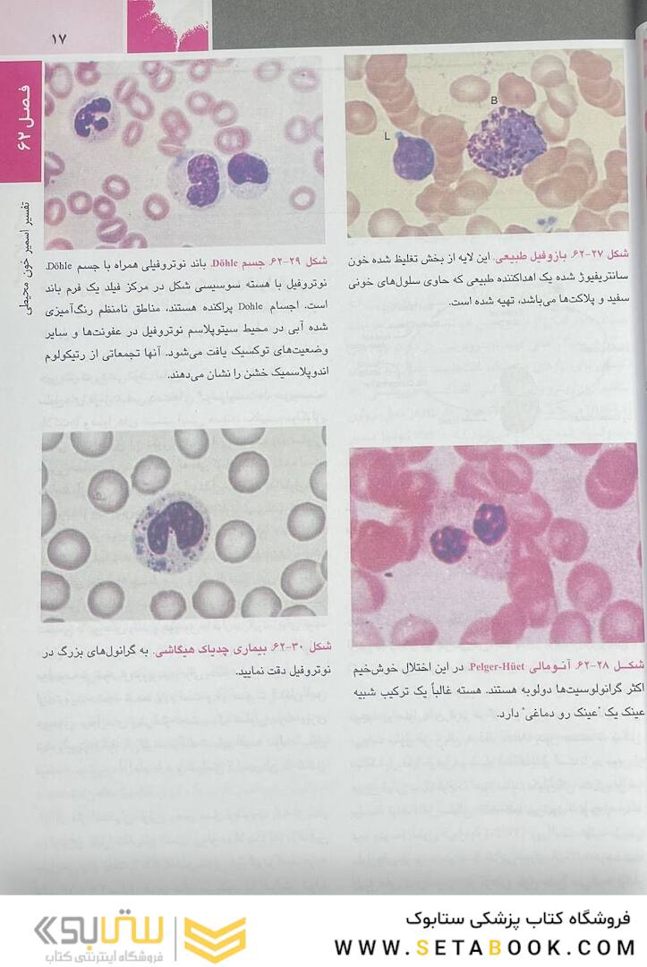 اصول طب داخلی هاریسون بیماری  های هماتولوژی 2022