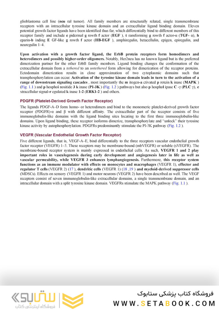 Berek and Hacker’s Gynecologic Oncology 7th Edicion 2021