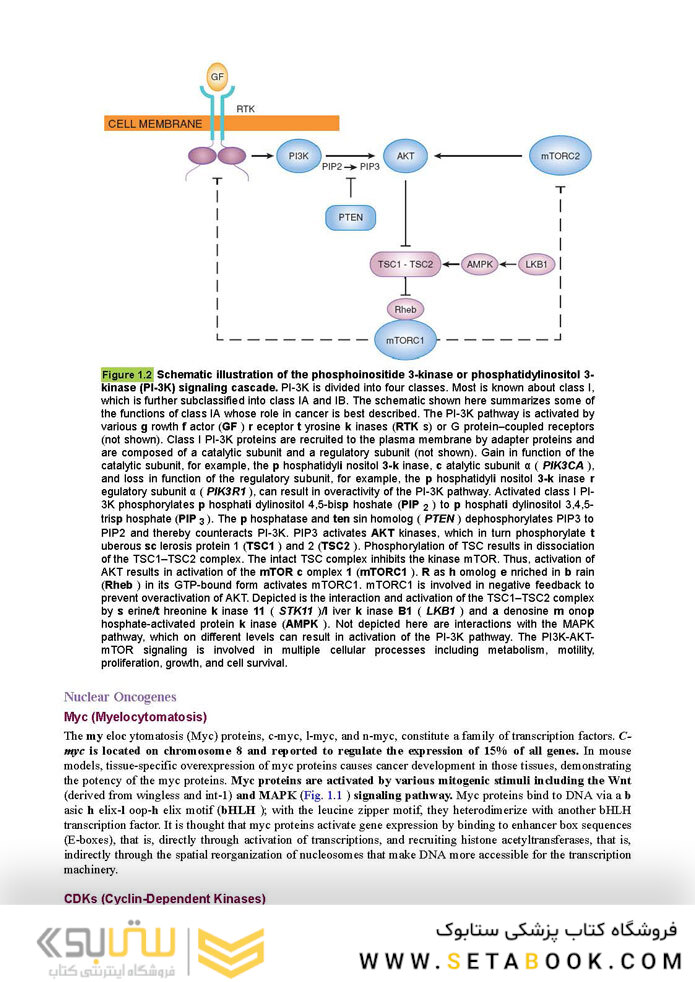 Berek and Hacker’s Gynecologic Oncology 7th Edicion 2021