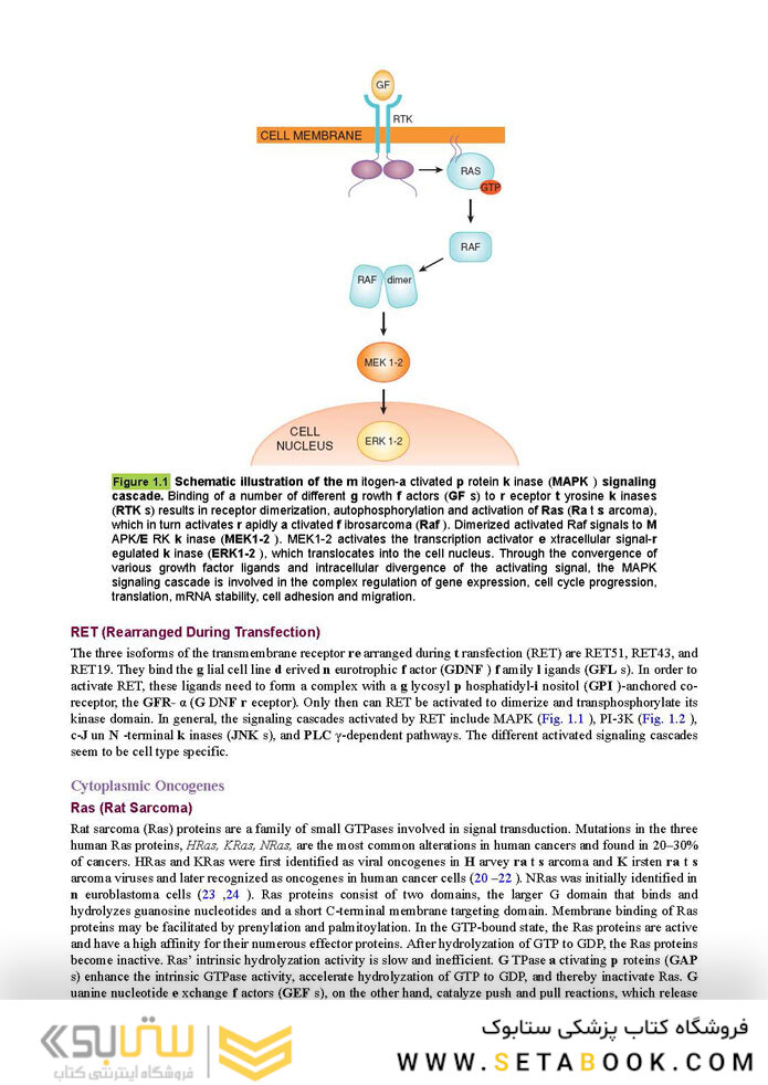 Berek and Hacker’s Gynecologic Oncology 7th Edicion 2021