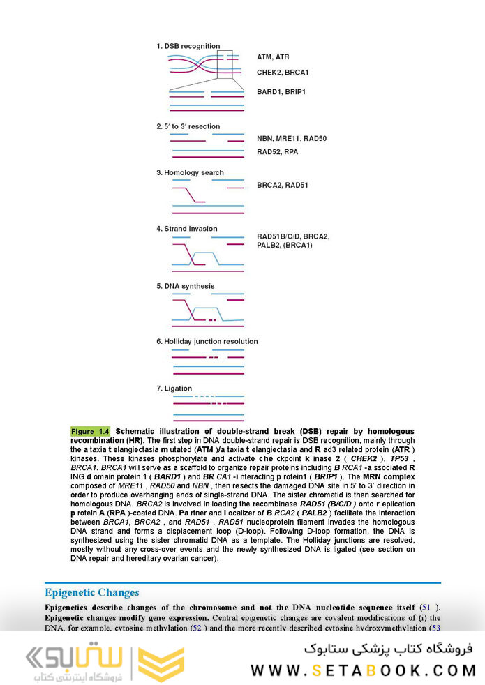 Berek and Hacker’s Gynecologic Oncology 7th Edicion 2021