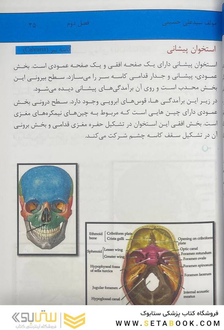 آناتومی عمومی بدن 2022