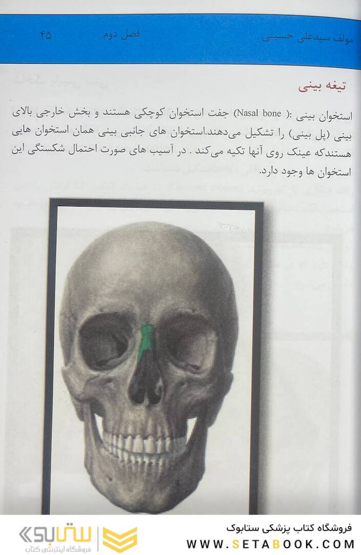 آناتومی عمومی بدن 2022