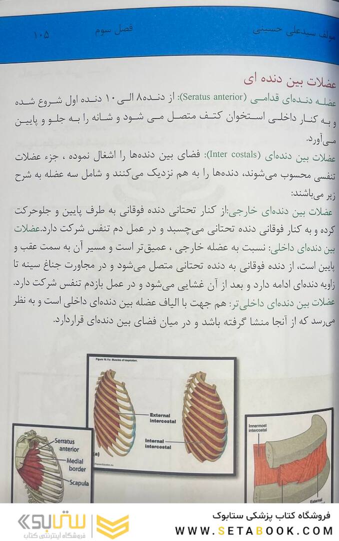 آناتومی عمومی بدن 2022