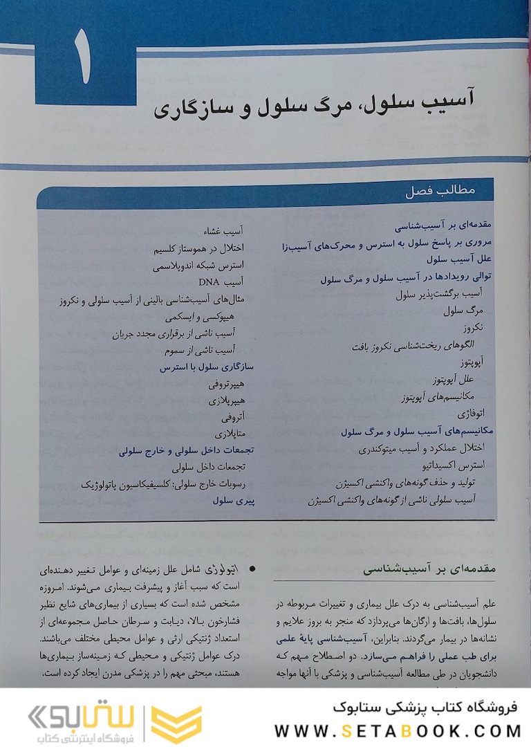 آسیب  شناسی پایه عمومی رابینز 2023