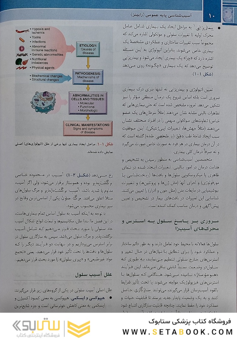 آسیب  شناسی پایه عمومی رابینز 2023