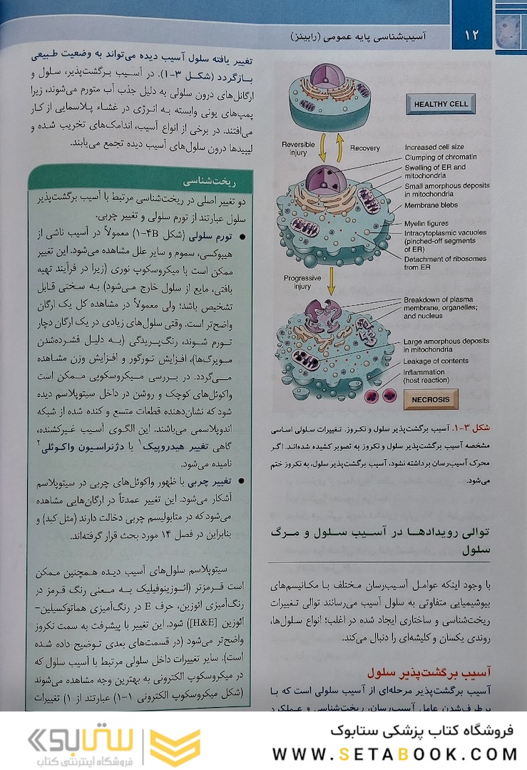 آسیب  شناسی پایه عمومی رابینز 2023