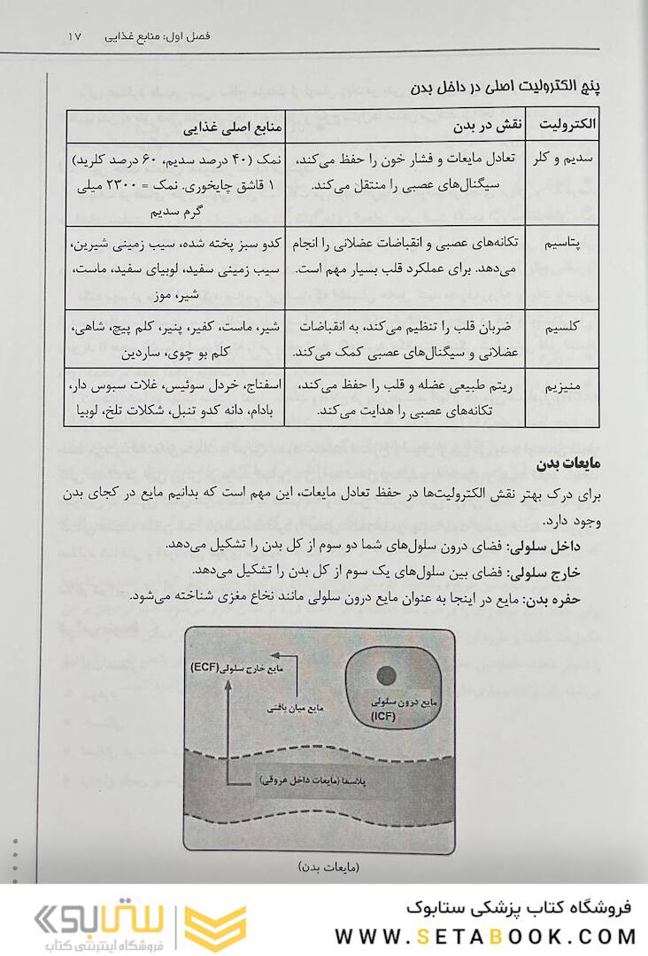 تغذیه ورزشی ضروری