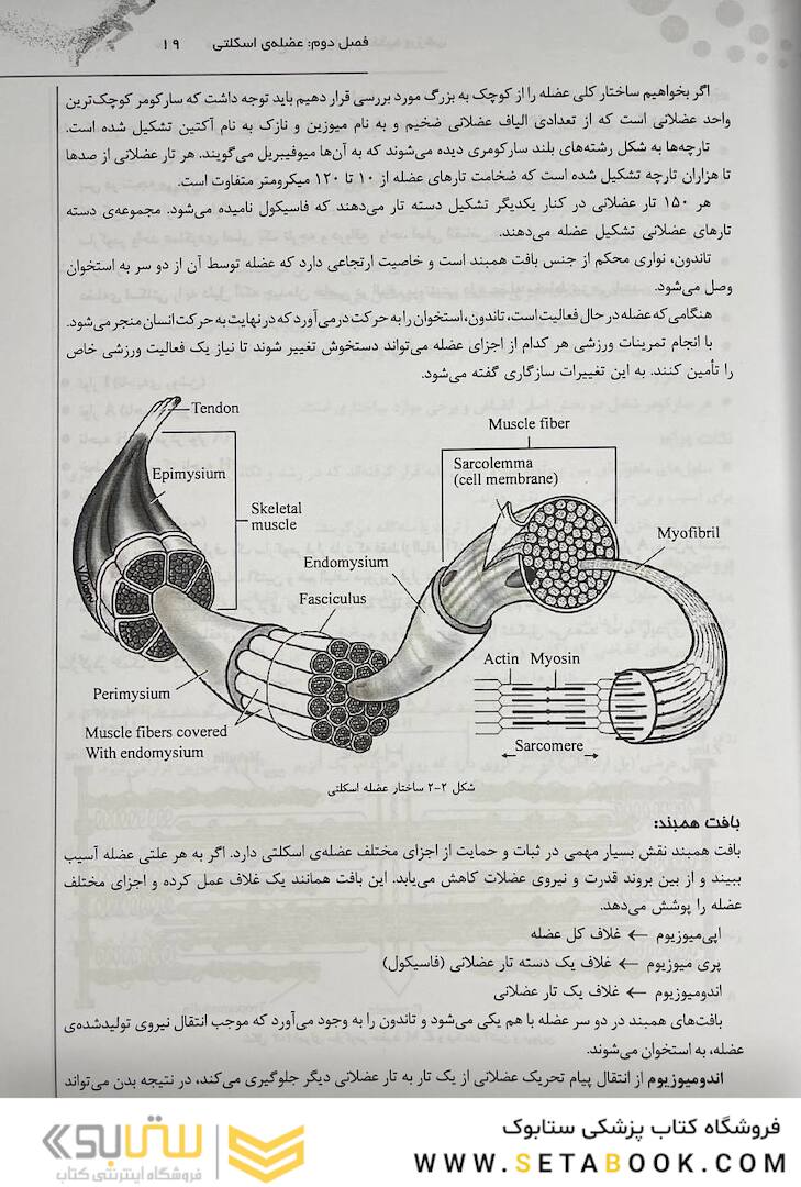 درسنامه جامع فیزیولوژی و تغذیه ورزشی