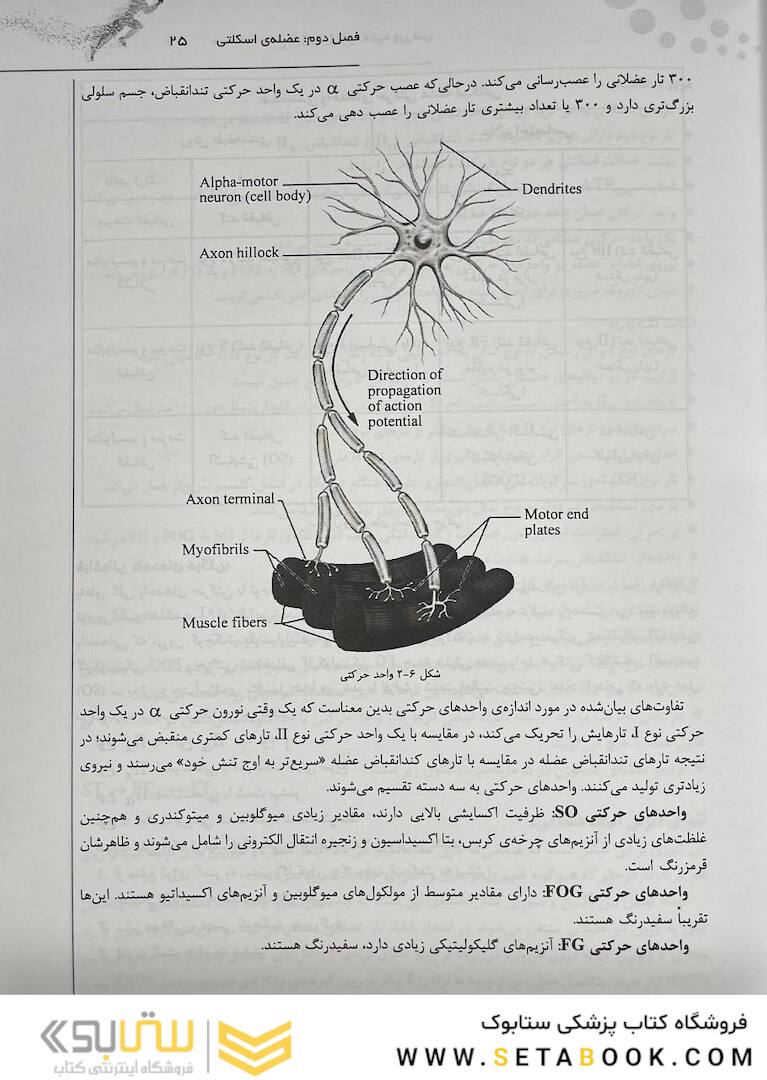 درسنامه جامع فیزیولوژی و تغذیه ورزشی