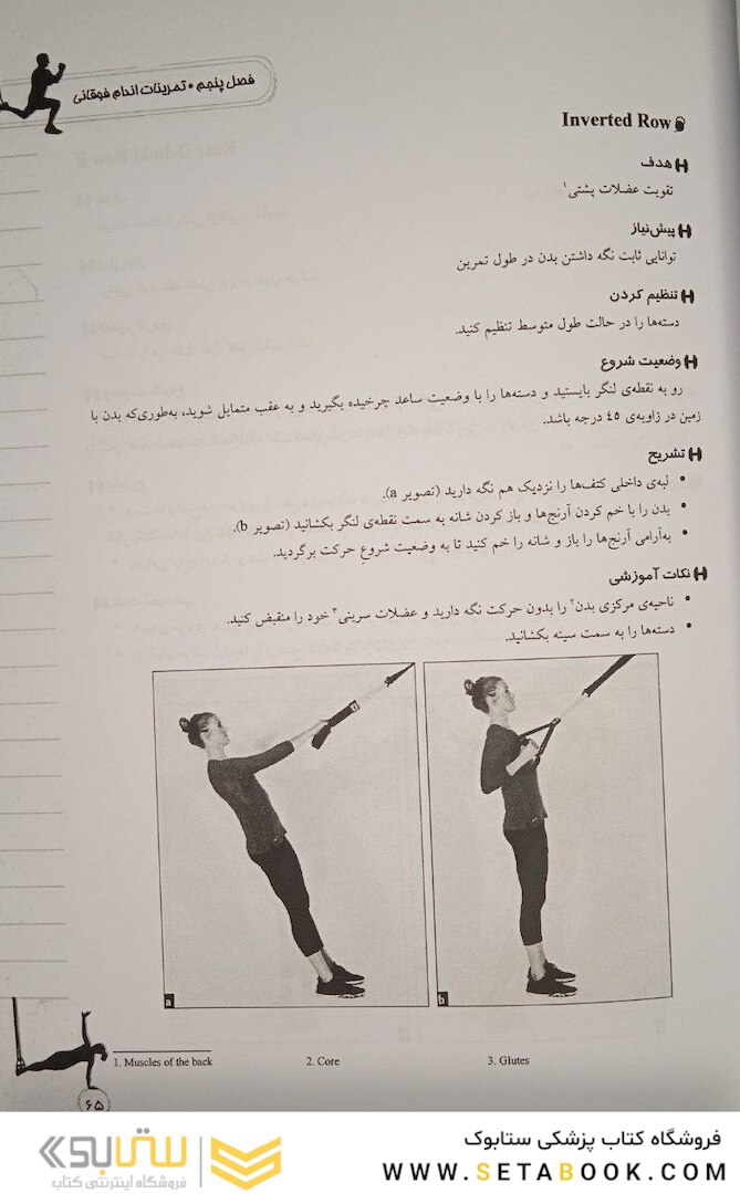 راهنمای جامع TRX تمرینات معلق