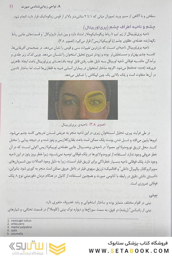 اصول آناتومی زیبایی شناسی صورت