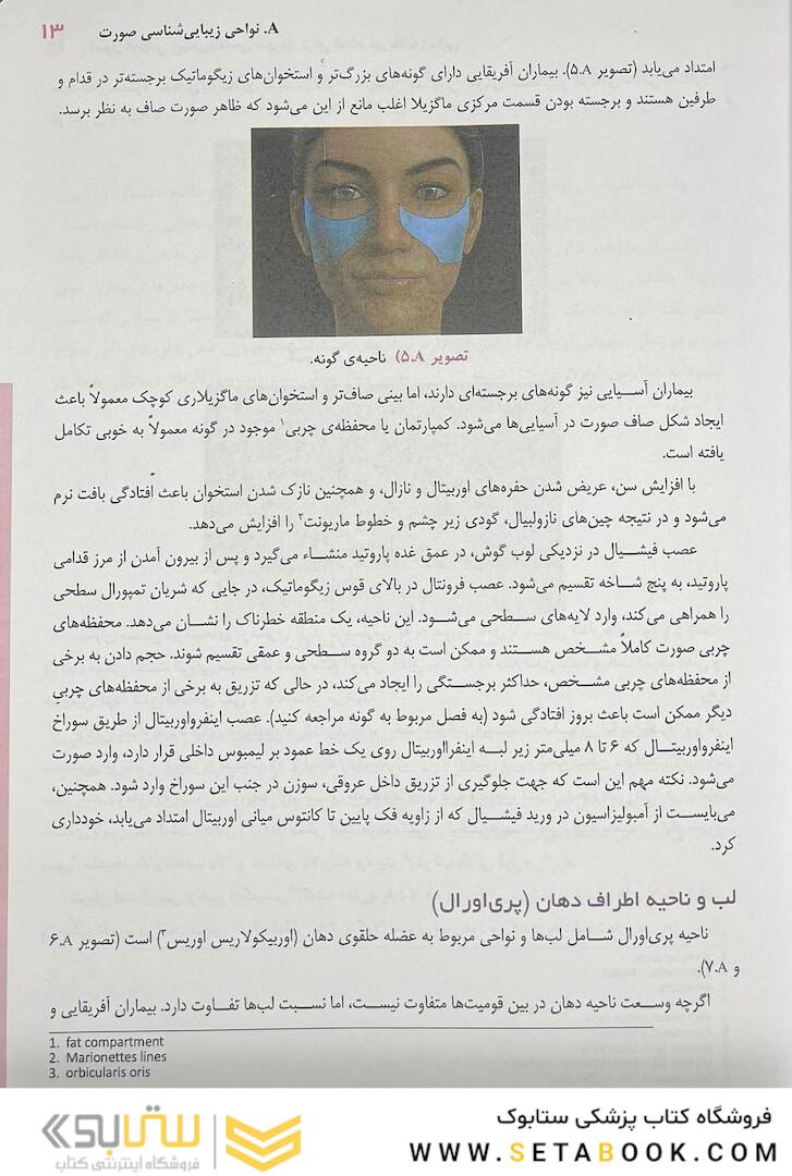 اصول آناتومی زیبایی شناسی صورت