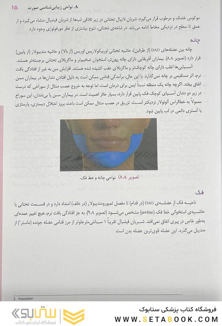 اصول آناتومی زیبایی شناسی صورت