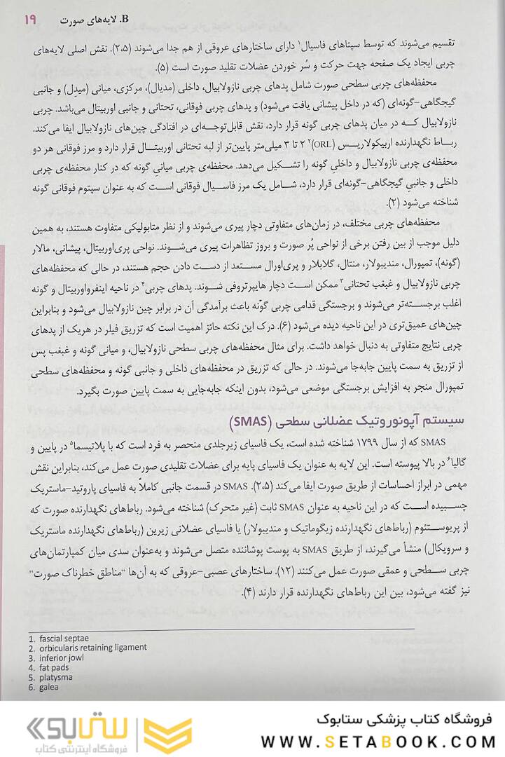 اصول آناتومی زیبایی شناسی صورت