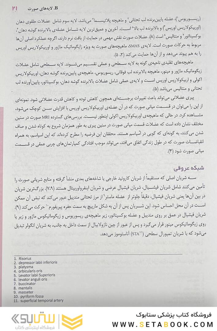 اصول آناتومی زیبایی شناسی صورت