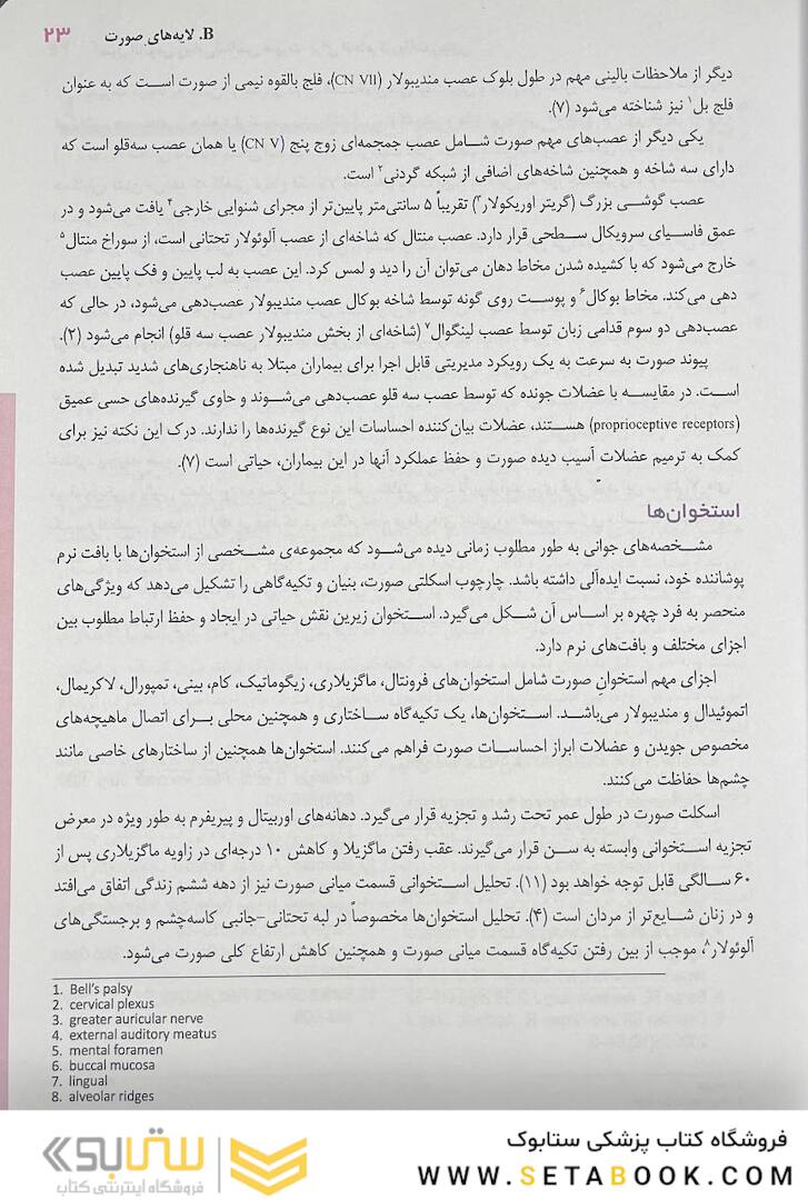 اصول آناتومی زیبایی شناسی صورت