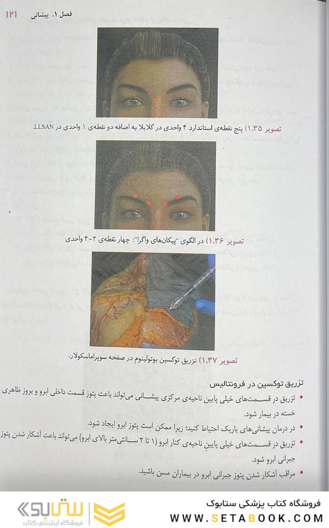 اصول آناتومی زیبایی شناسی صورت