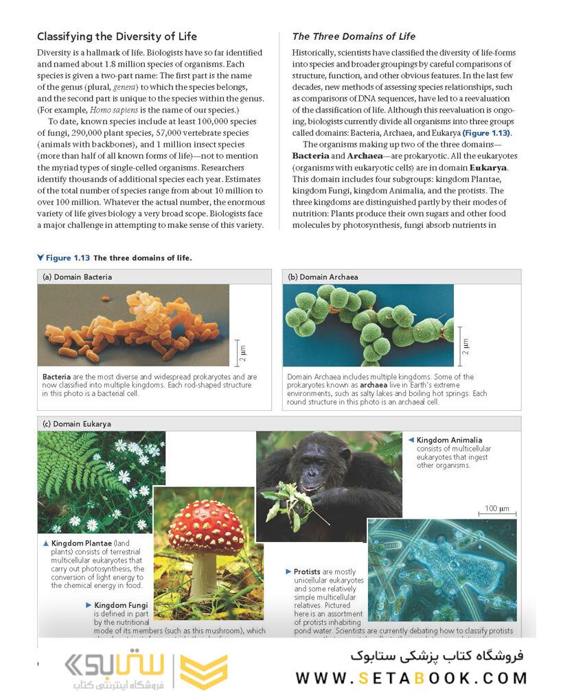 Biology: A Global Approach, 11th edition 2018