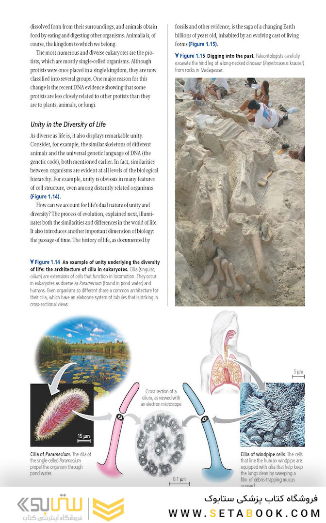 Biology: A Global Approach, 11th edition 2018