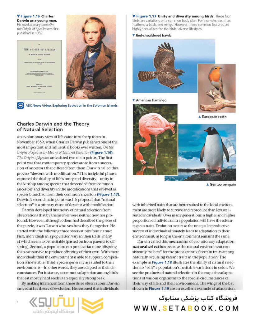 Biology: A Global Approach, 11th edition 2018