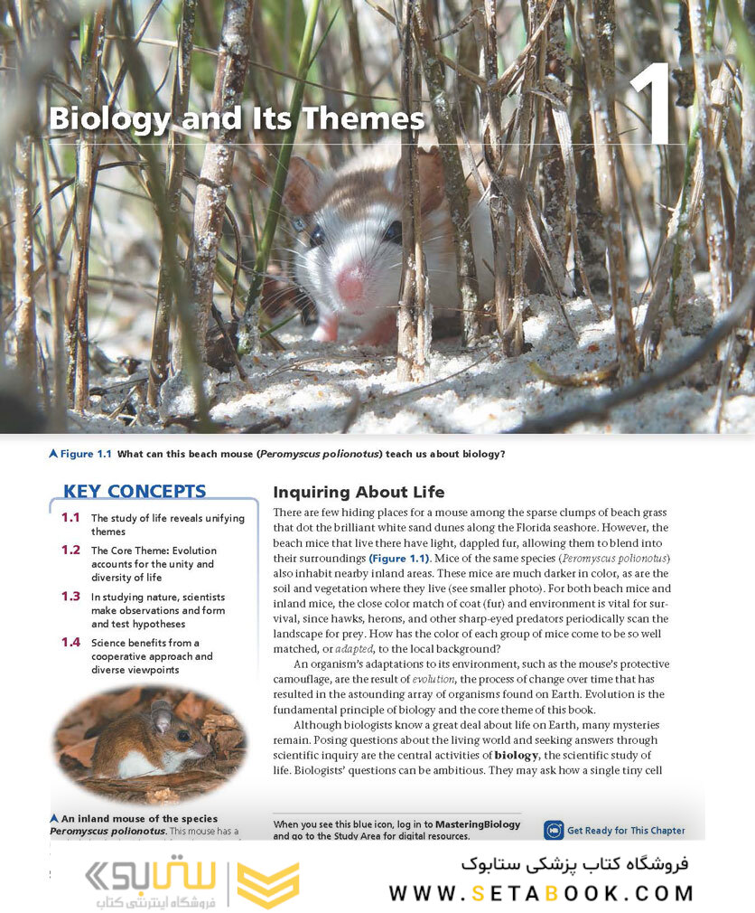 Biology: A Global Approach, 11th edition 2018