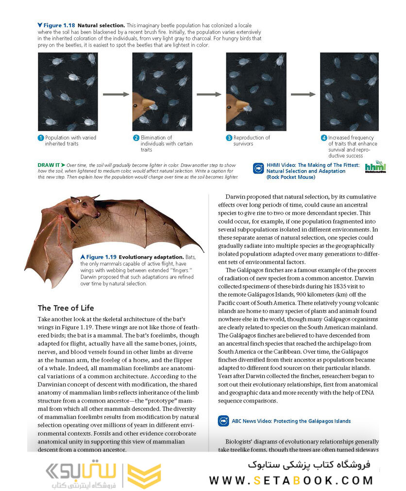 Biology: A Global Approach, 11th edition 2018
