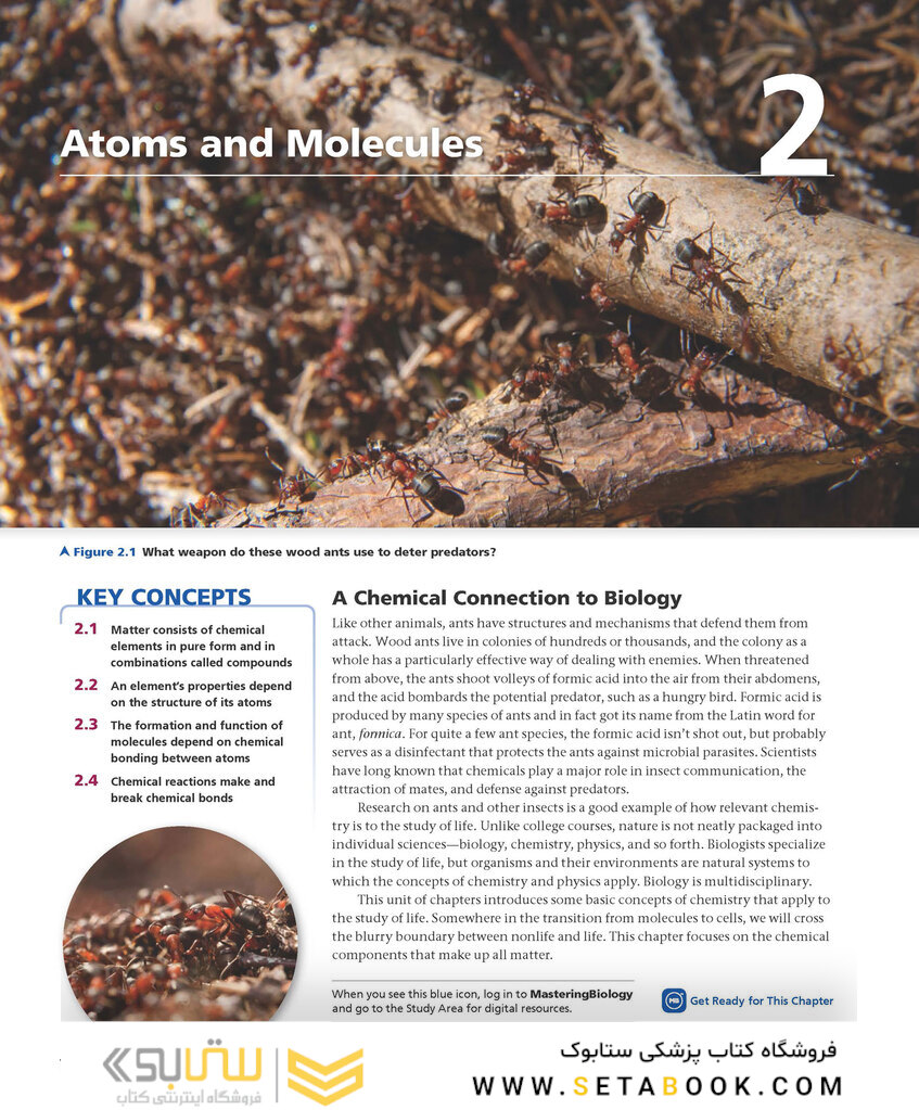 Biology: A Global Approach, 11th edition 2018