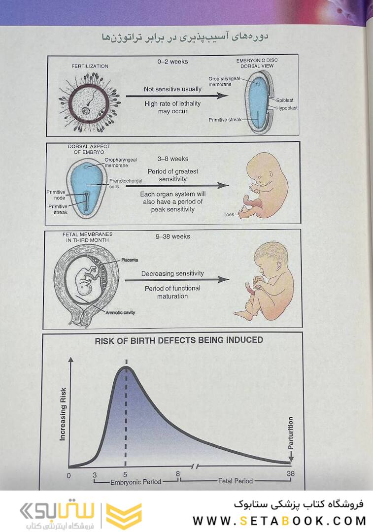 جنین شناسی پزشکی لانگمن 2024