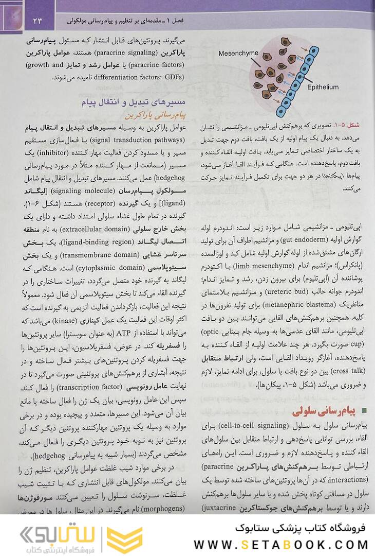 جنین شناسی پزشکی لانگمن 2024