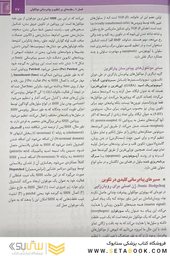 جنین شناسی پزشکی لانگمن 2024