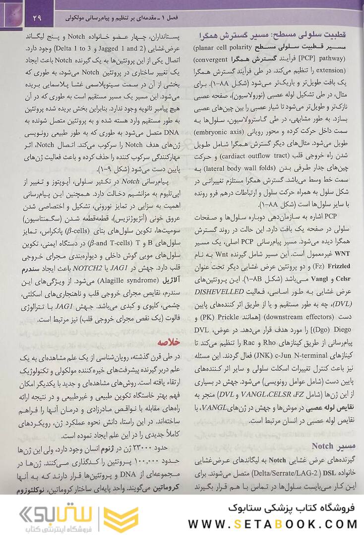 جنین شناسی پزشکی لانگمن 2024