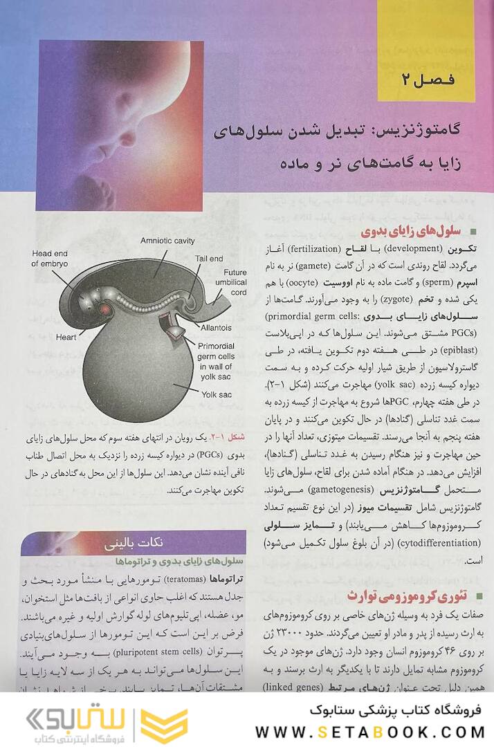 جنین شناسی پزشکی لانگمن 2024