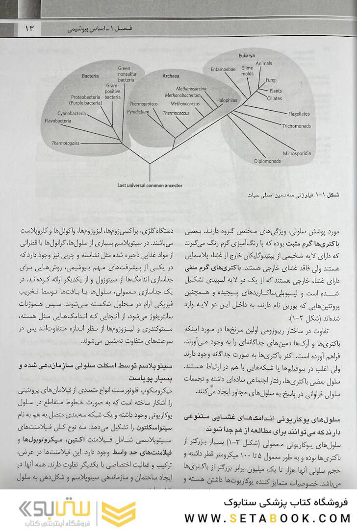 QR خلاصه اصول بیوشیمی لنینجر 2021