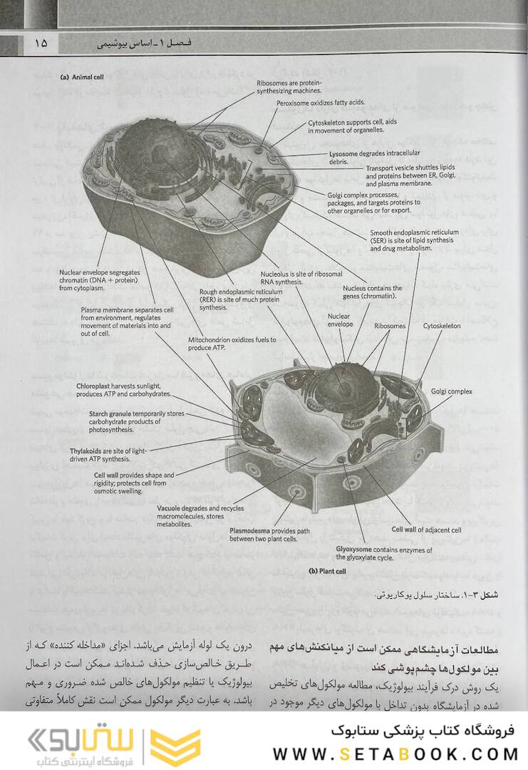 QR خلاصه اصول بیوشیمی لنینجر 2021