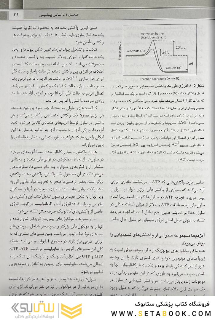 QR خلاصه اصول بیوشیمی لنینجر 2021