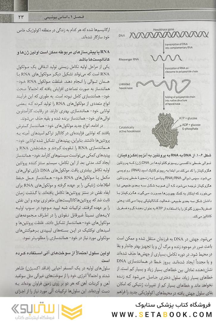 QR خلاصه اصول بیوشیمی لنینجر 2021