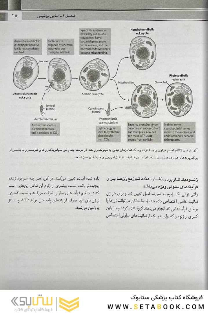 QR خلاصه اصول بیوشیمی لنینجر 2021