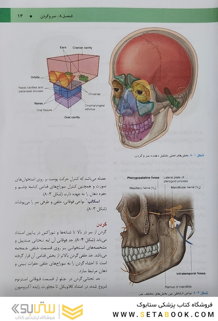 آناتومی گری برای دانشجویان 2024 سر و گردن جلد سوم