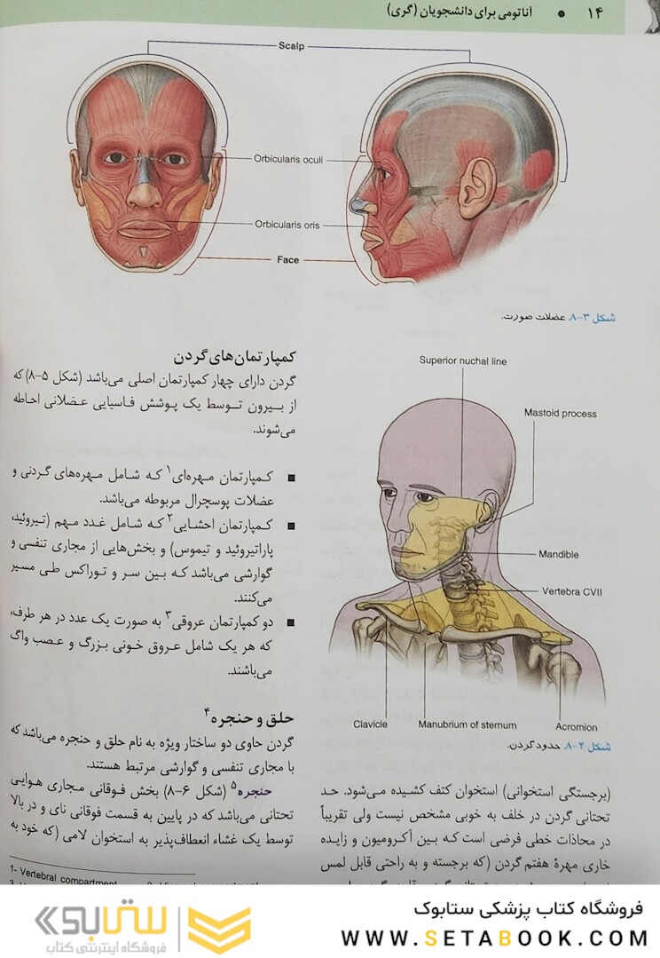 آناتومی گری برای دانشجویان 2024 سر و گردن جلد سوم
