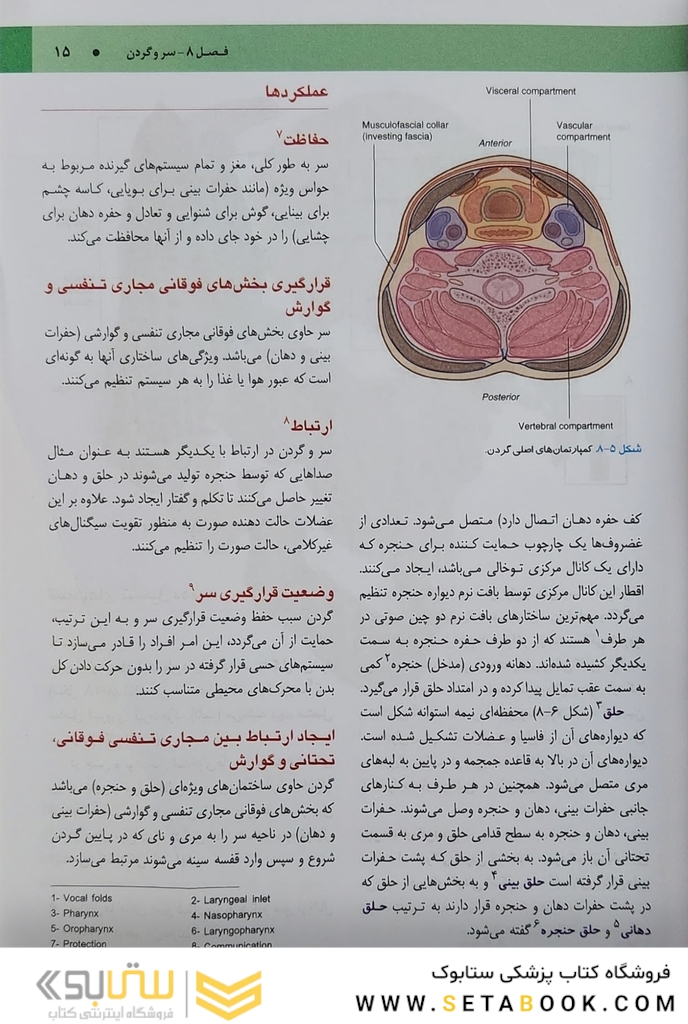 آناتومی گری برای دانشجویان 2024 سر و گردن جلد سوم
