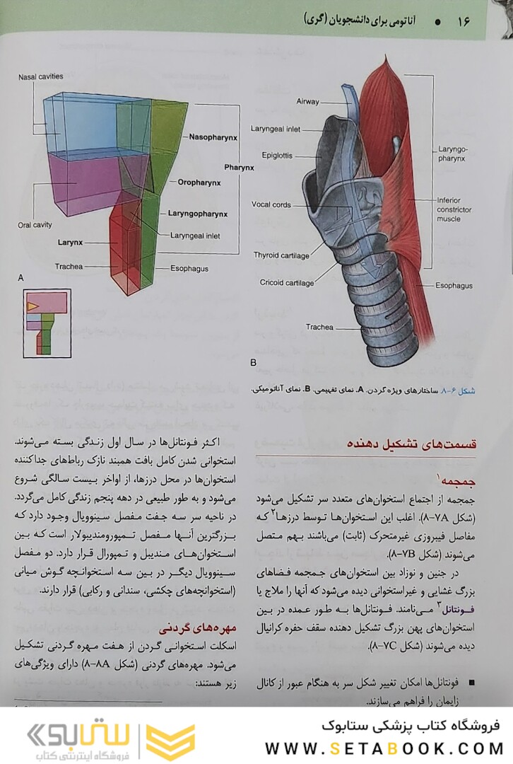 آناتومی گری برای دانشجویان 2024 سر و گردن جلد سوم