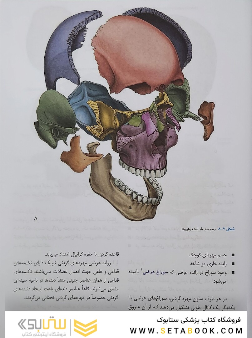 آناتومی گری برای دانشجویان 2024 سر و گردن جلد سوم