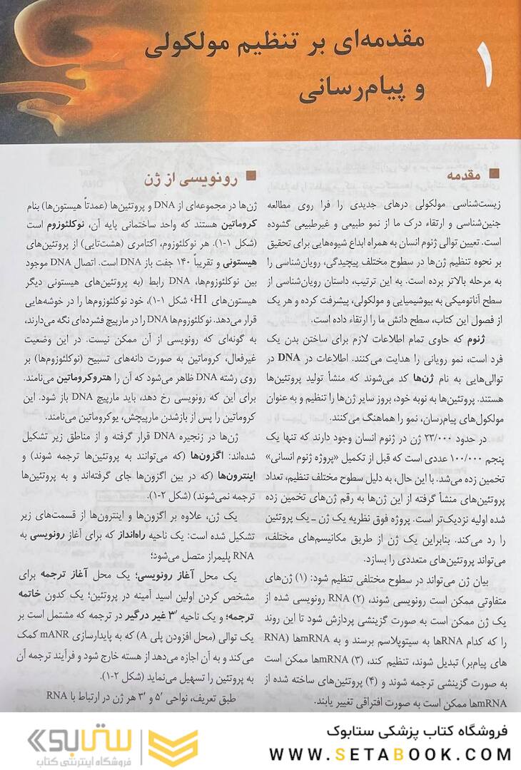 جنین شناسی پزشکی لانگمن 2024