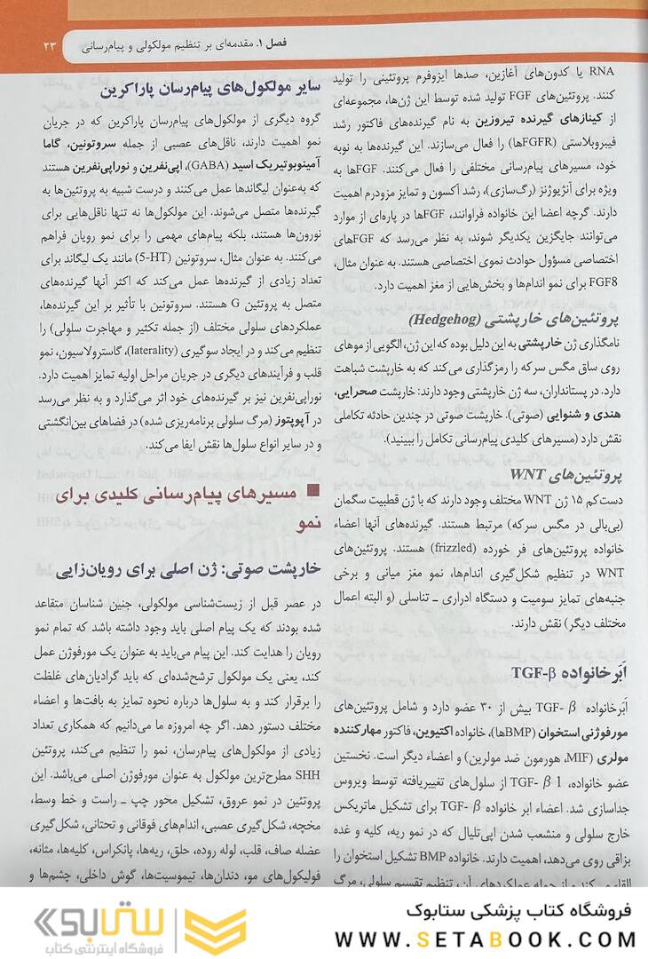 جنین شناسی پزشکی لانگمن 2024