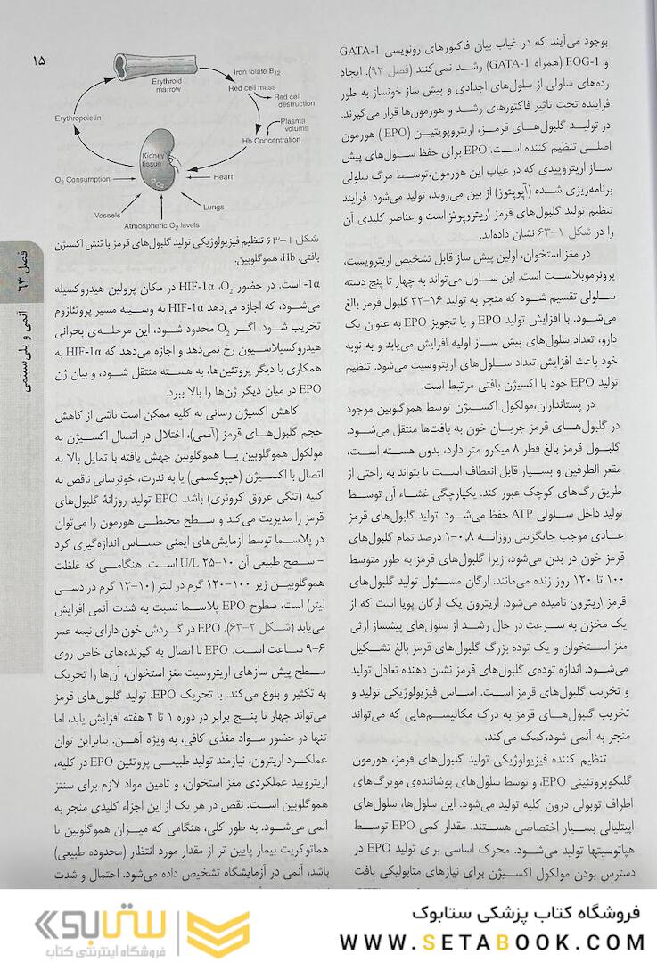 اصول طب داخلی هاریسون هماتولوژی 2022