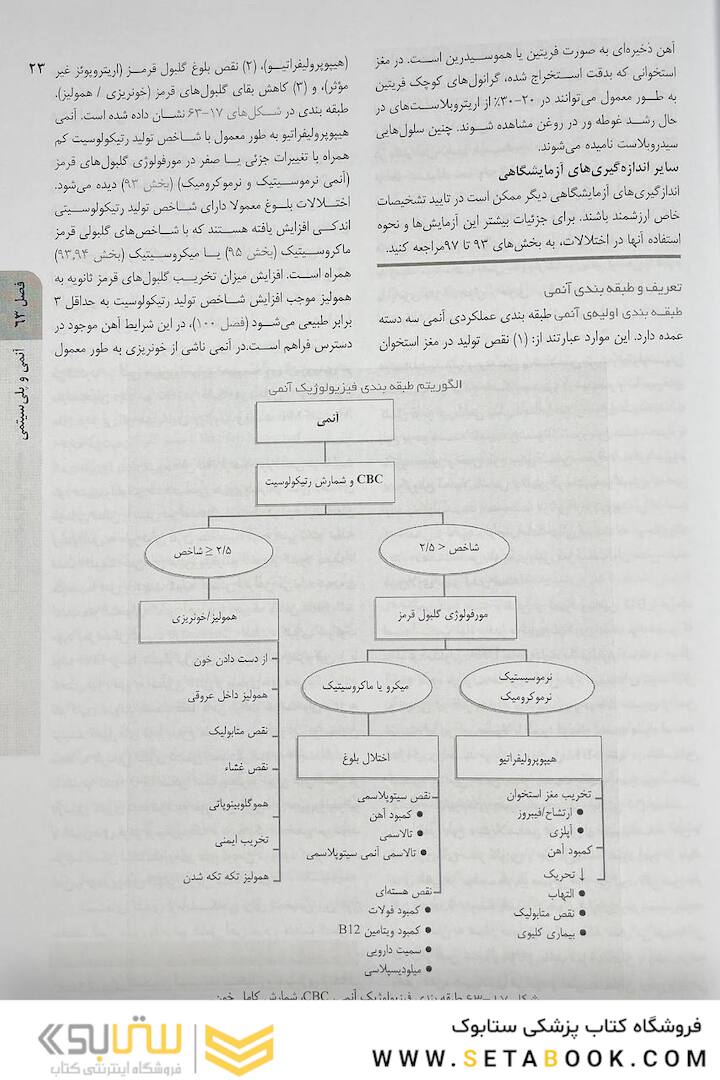 اصول طب داخلی هاریسون هماتولوژی 2022