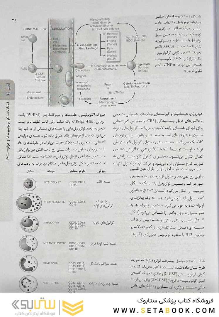 اصول طب داخلی هاریسون هماتولوژی 2022